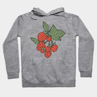 Raspberries Hoodie